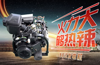 無錫國(guó)維新能源